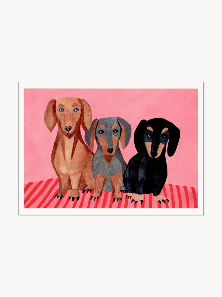 Póster Dachshunds