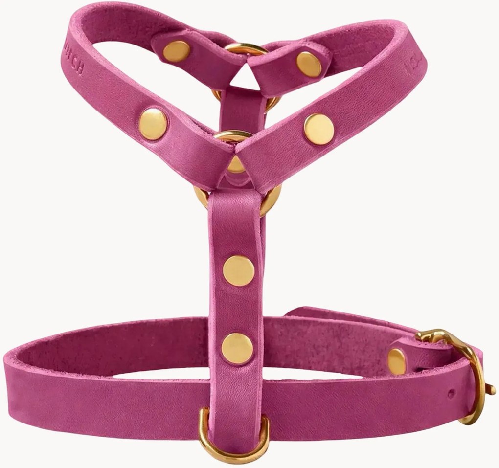 Peitoral para cão em pele Y-Harness, vários tamanhos