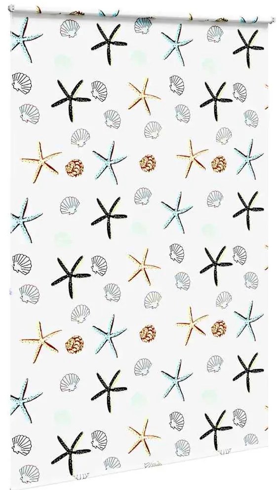Rolo de Duche Estores 150x240 cm Largura Tecido 146 cm