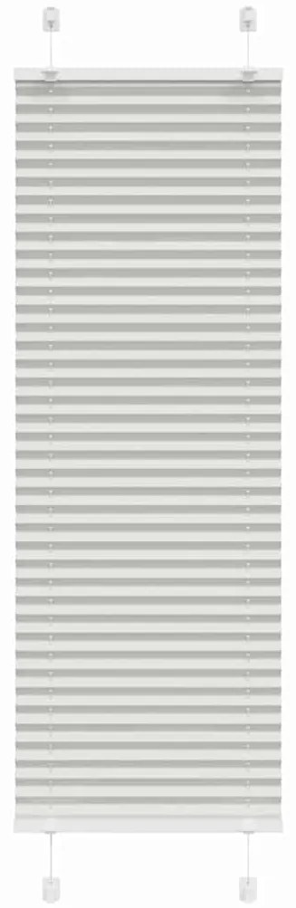 vidaXL Cinzento Luz Plissada Cega 50x100 cm Largura Tecido 49,4 cm