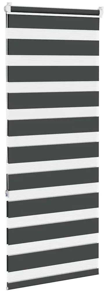 Cortina de zebra 55x150 cm largura do tecido 50,9 cm poliéster