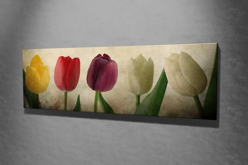 Pintura Decorativa em Tela PC147 – Multicolor – 30 x 80 cm