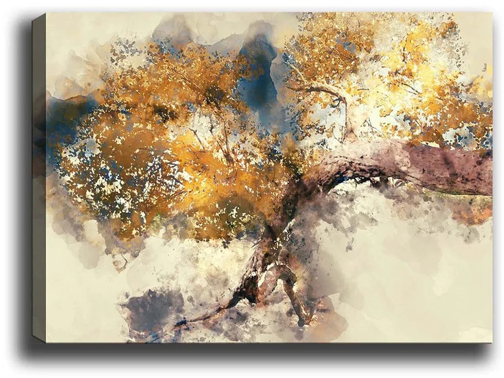 Pintura Decorativa em Tela 488419336 – Multicolor – 50 x 70 cm