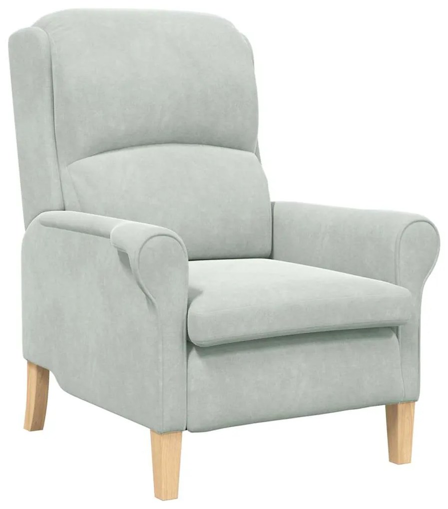 Poltrona Cinza Claro Cinzento-claro Standard