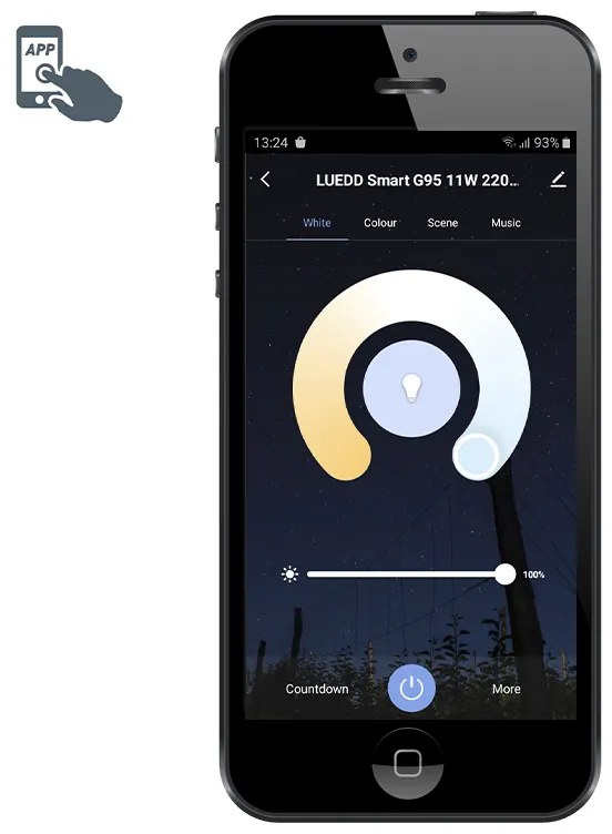 Lâmpada LED inteligente E27 regulável G95 11W 900lm 2200-4000K RGB