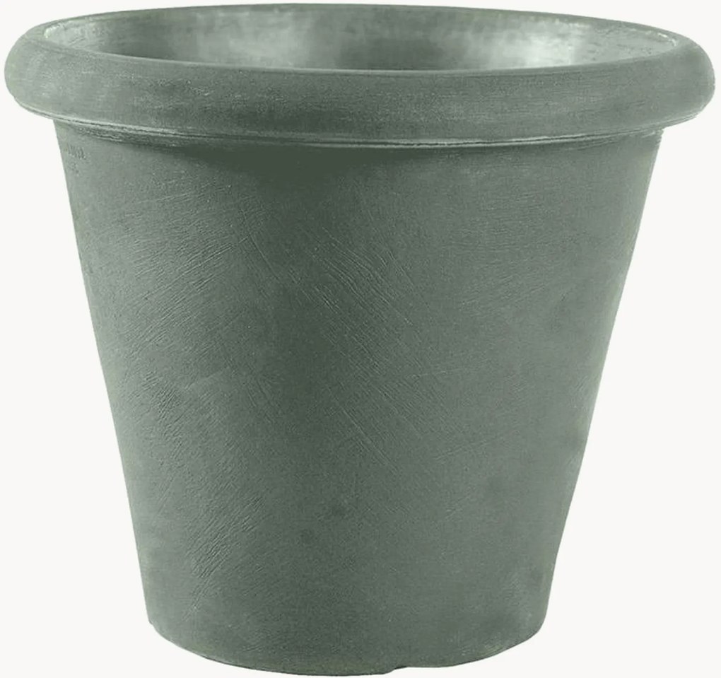 Vaso Camelia