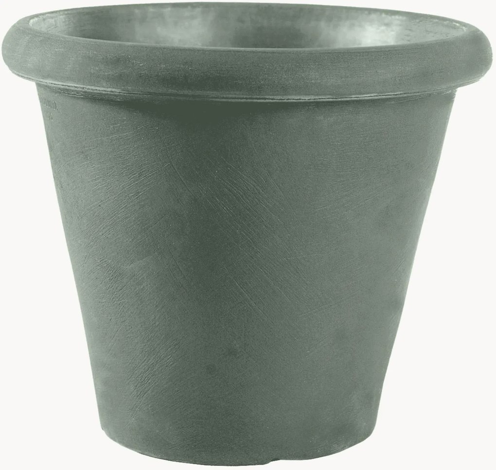 Vaso Camelia