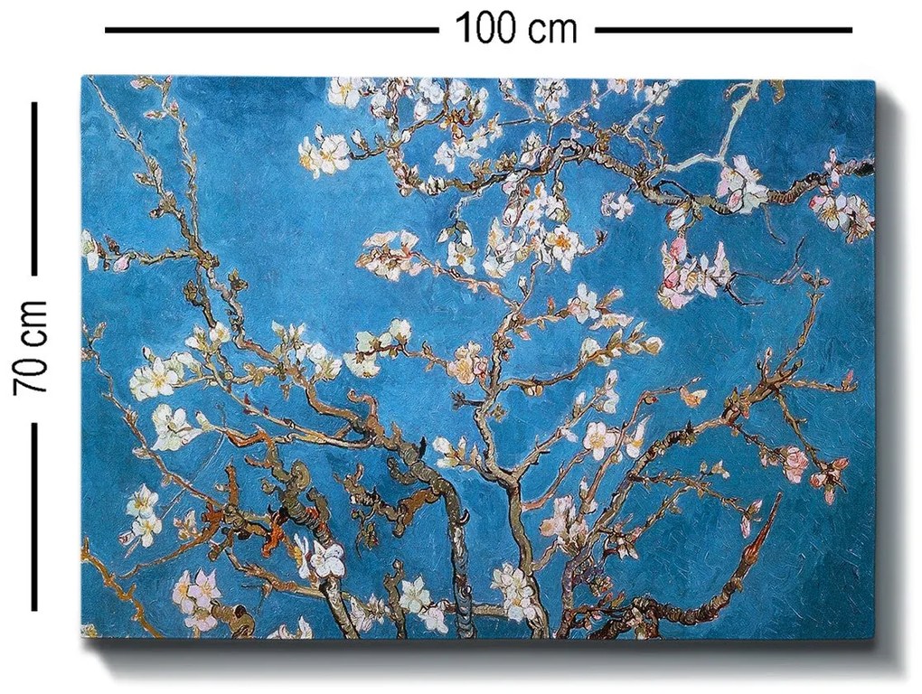 Pintura Decorativa em Tela 277775 – Multicolor – 70 x 100 cm