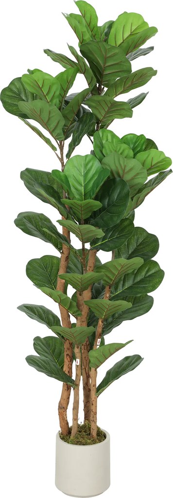 Planta artificial de interior de 150 cm – Figueira-lira artificial com vaso de plástico e tronco de madeira maciça, verde