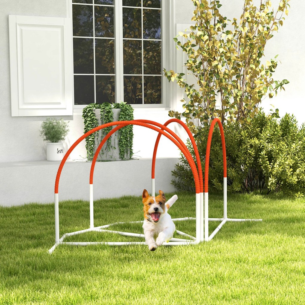 Conjunto de 4 peças de equipamento de agilidade, arcos de treino para cães, obstáculo com saco de transporte
