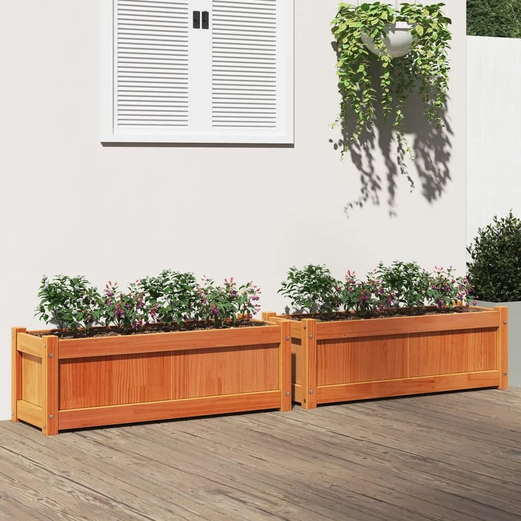 vidaXL Vasos/floreiras de jardim 2 pcs pinho maciço castanho cera