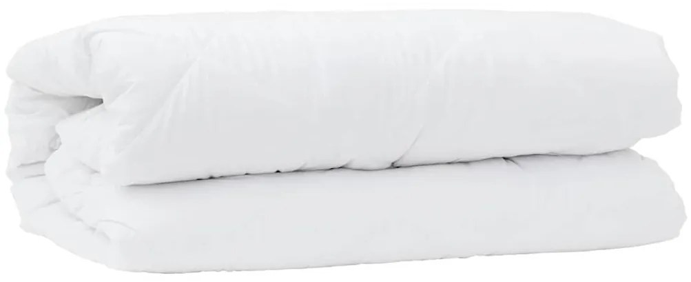 Edredão com travesseiro 2 pcs Branco 135 x 220 cm Microfibra