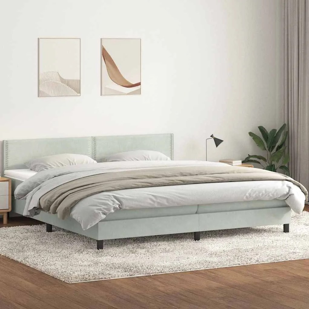 vidaXL Cama com molas/colchão cinzento-claro 200x210 cm veludo