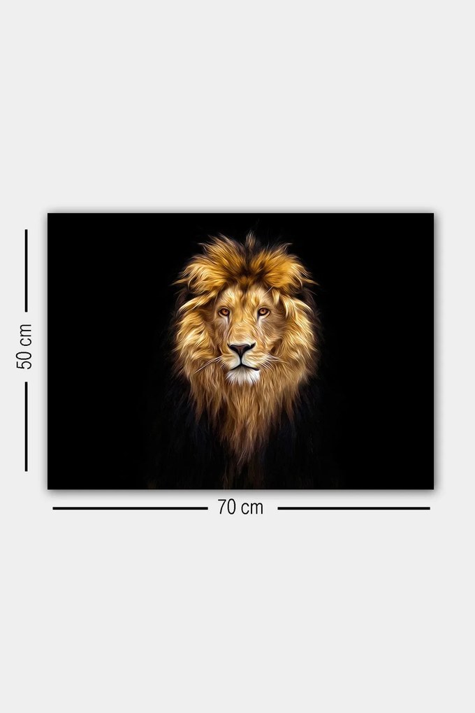Pintura Decorativa em Tela 353413202 – Multicolor – 50 x 70 cm