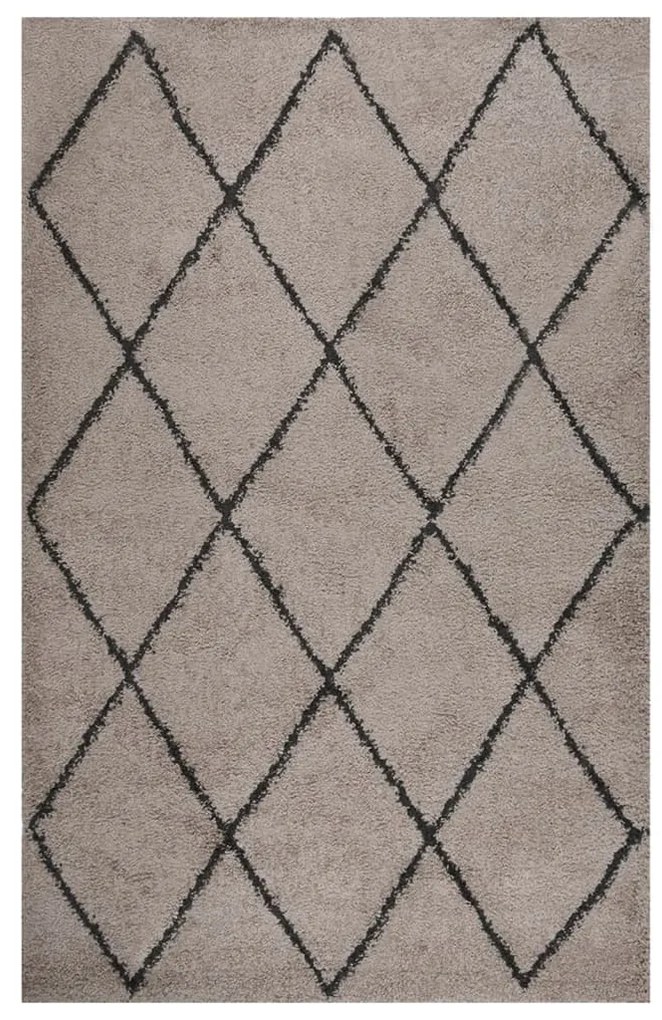 vidaXL Tapete shaggy de pelo alto 200x290 cm bege/antracite