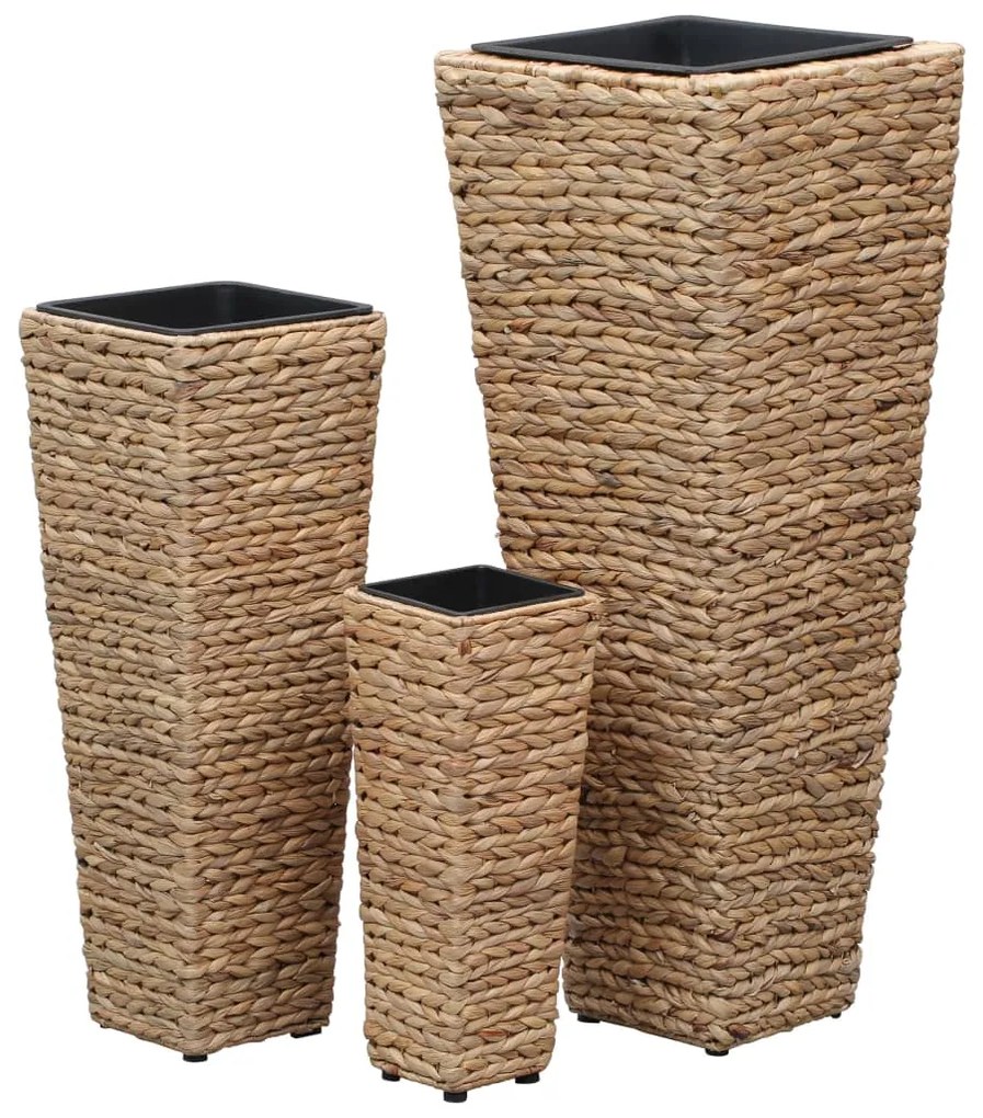 Vasos/floreiras 3 pcs jacinto de água castanho
