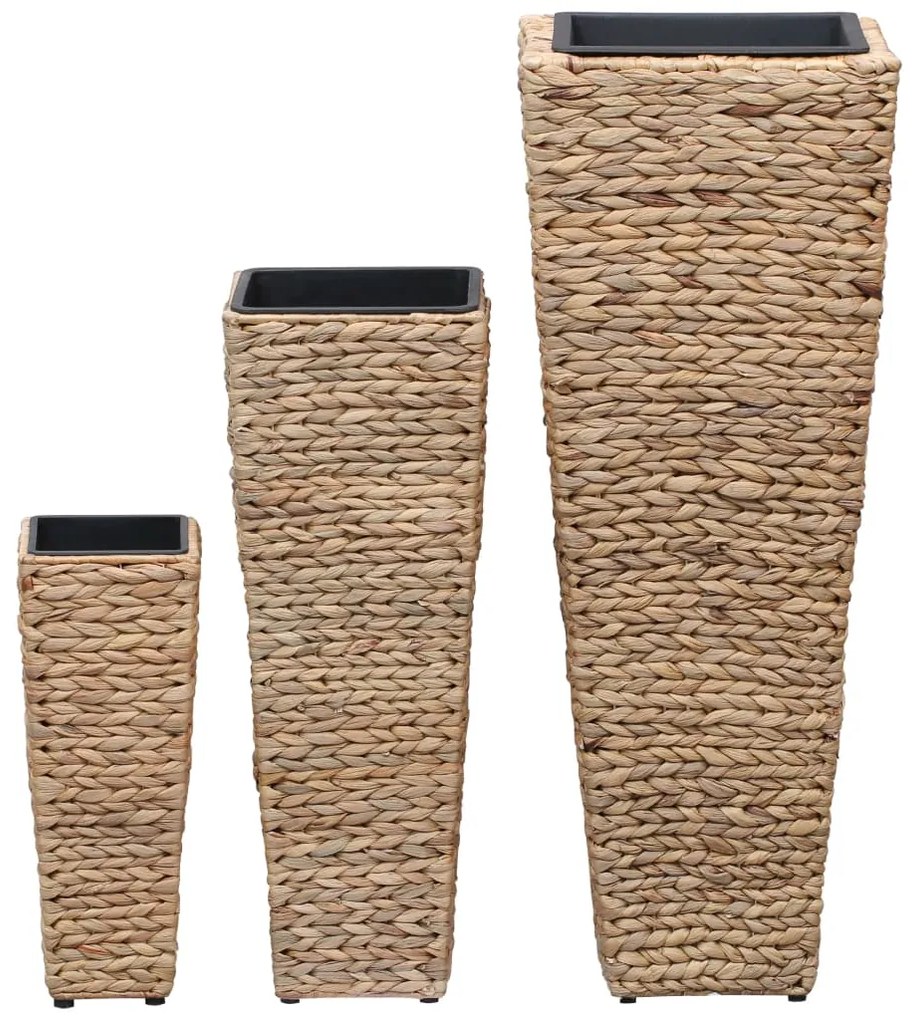 Vasos/floreiras 3 pcs jacinto de água castanho