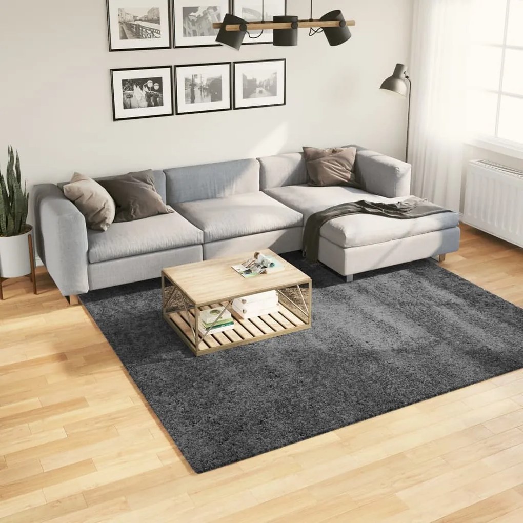 vidaXL Tapete de pelo curto OVIEDO 240x240 cm antracite