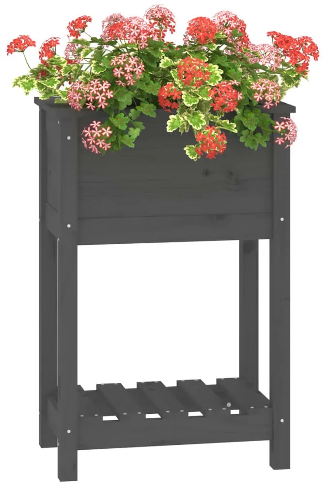 Vaso/floreira com prateleira 54x34,5x81 cm pinho maciço cinza