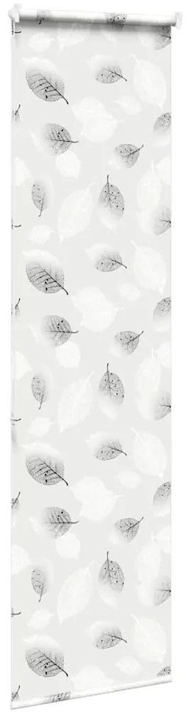 Rolo de Duche Estores 70x240 cm Largura Tecido 66 cm