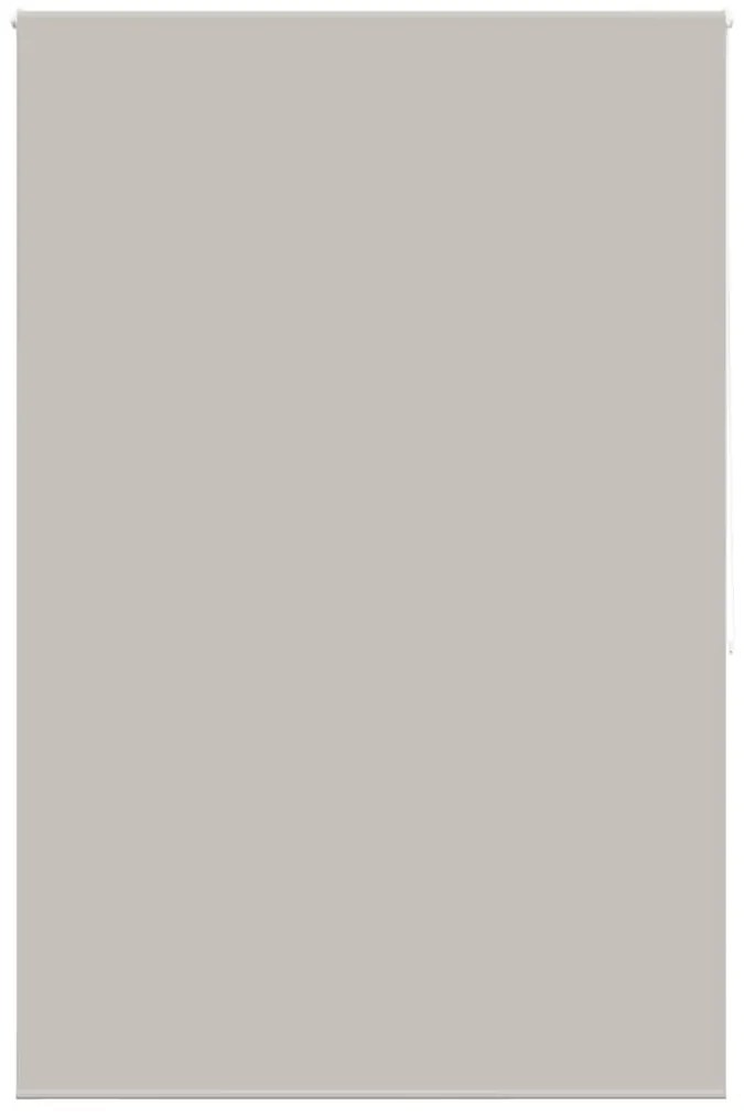 vidaXL Rolo de Duche Estores 150x240 cm Largura Tecido 146 cm