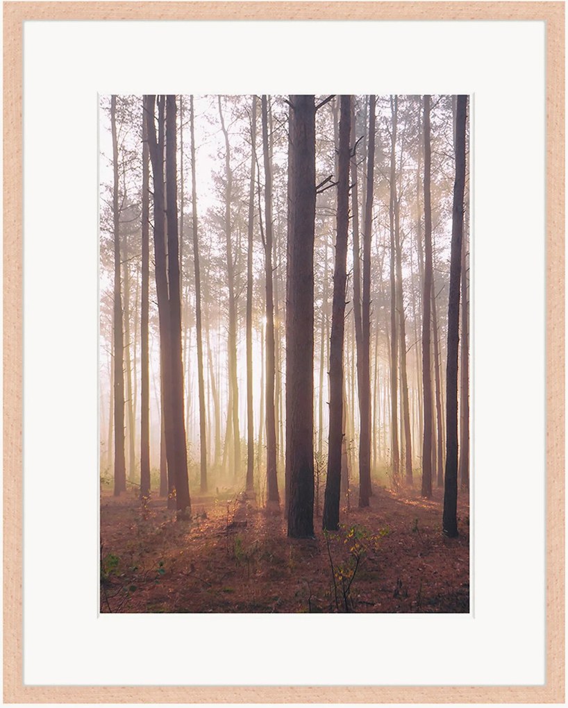 Impressão digital emoldurada Into The Foggy Woods