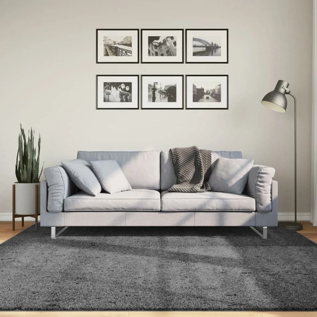 Tapete de pelo curto OVIEDO 200x200 cm antracite