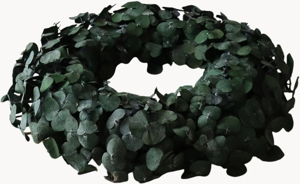 Coroa artesanal Eucalyptus Halo