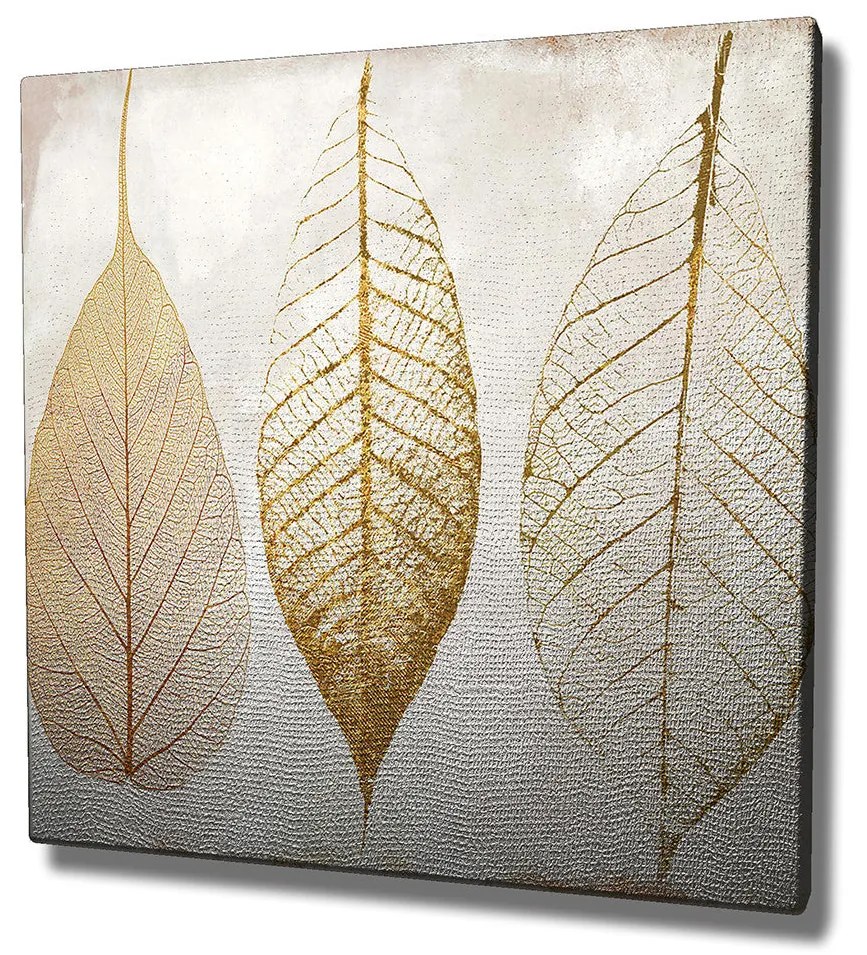 Pintura Decorativa em Tela KC098 – Multicolor – 45 x 45 cm