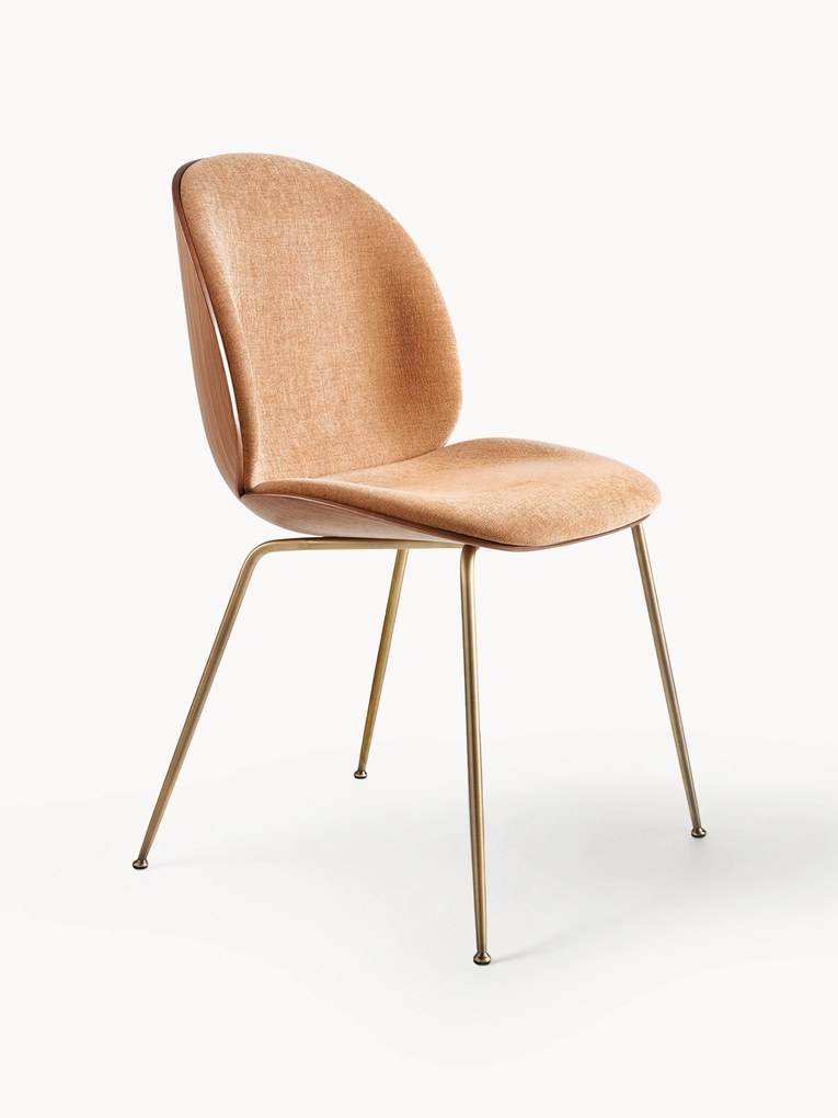Upholstered Chair Beetle with Seat Shell