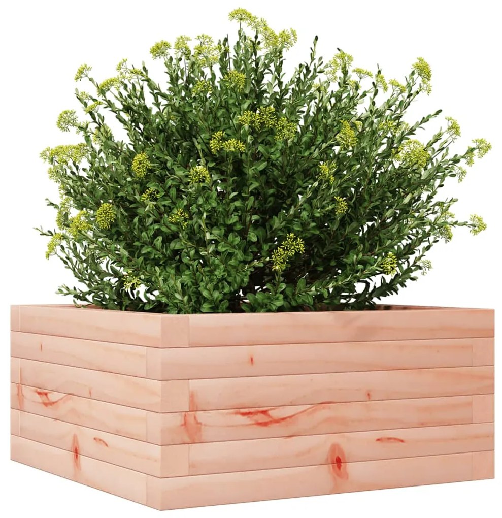 Vaso/floreira de jardim 50x50x23 cm madeira de douglas maciça
