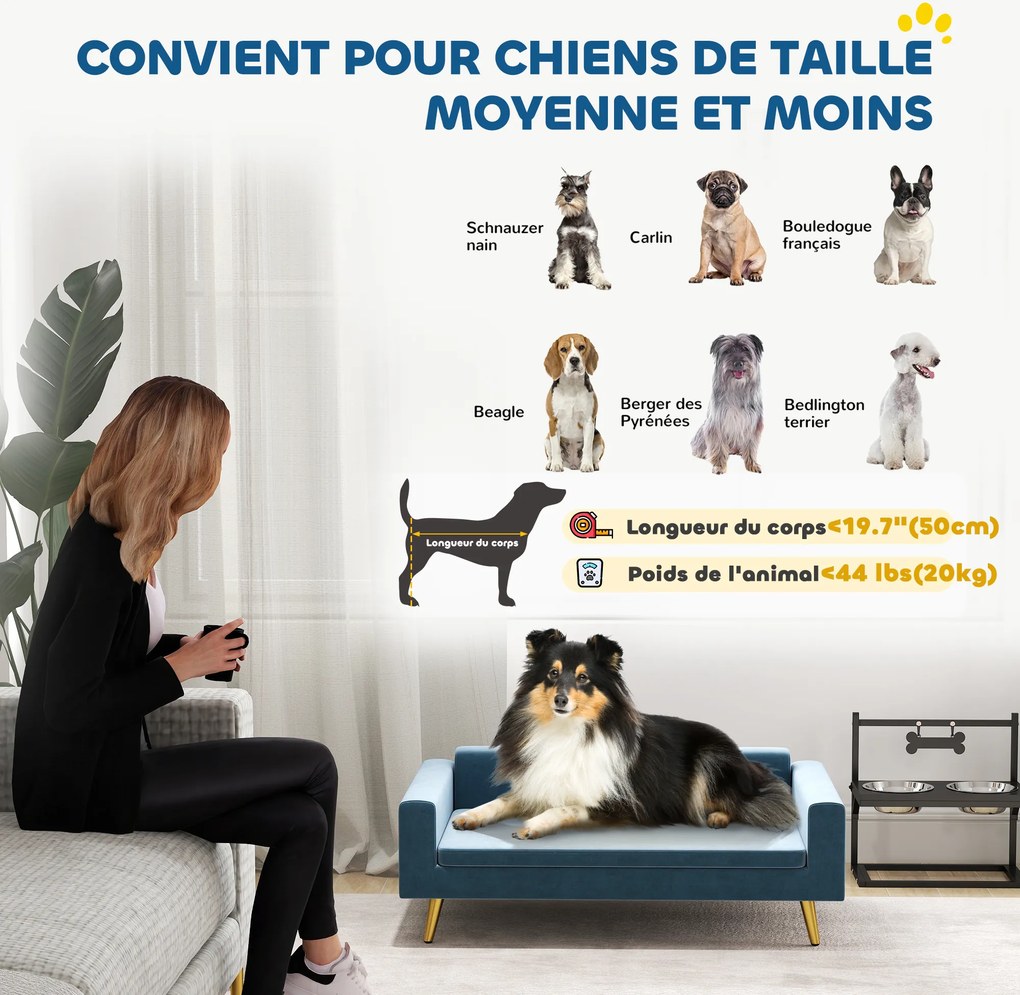 Sofá-cama para cães com design escandinavo, almofada macia, pés em metal dourado, 94 x 59,5 x 31,5 cm, veludo sedoso azul