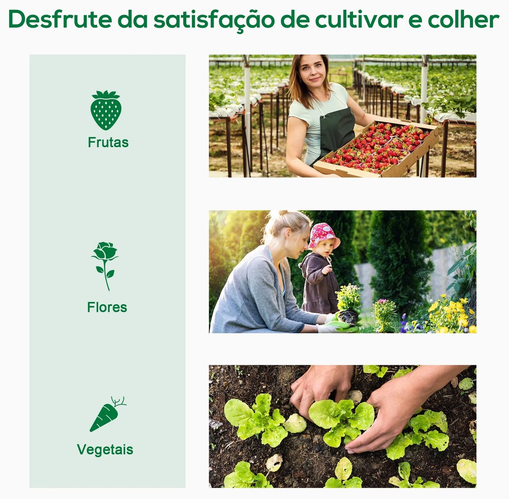 Estufa de Jardim Pequena Estufa de Exterior com Janelas e Estrutura de