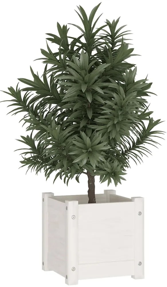 Vaso/floreira de jardim 31x31x31 cm pinho maciço branco