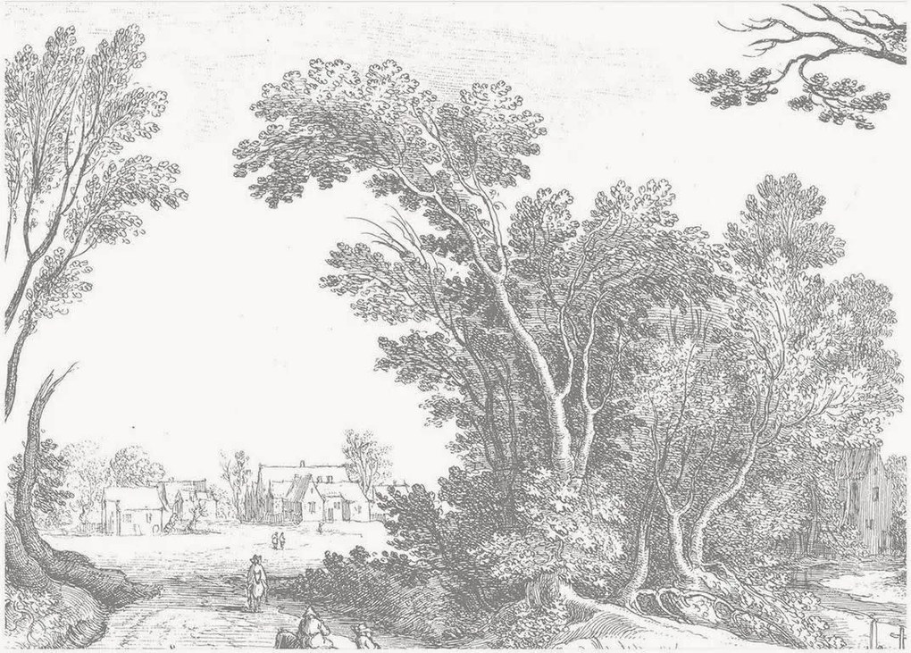 Papel de parede não tecido Engraved Landscapes V