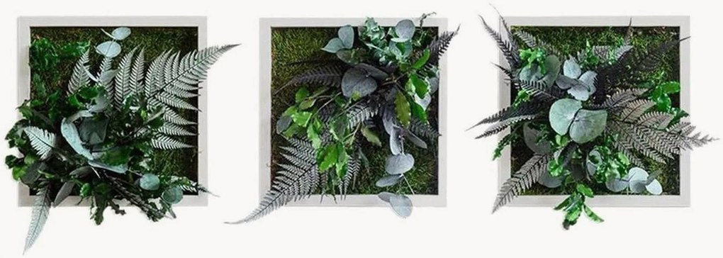 Quadros de parede artesanais com design de selva com moldura Tropic, conjunto de 3