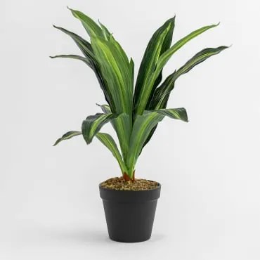 Planta Artificial Decorativa ↑40 Cm Dracaena ↑40 Cm - Sklum