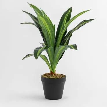 Planta artificial decorativa Dracaena 40 cm 40 cm - Sklum