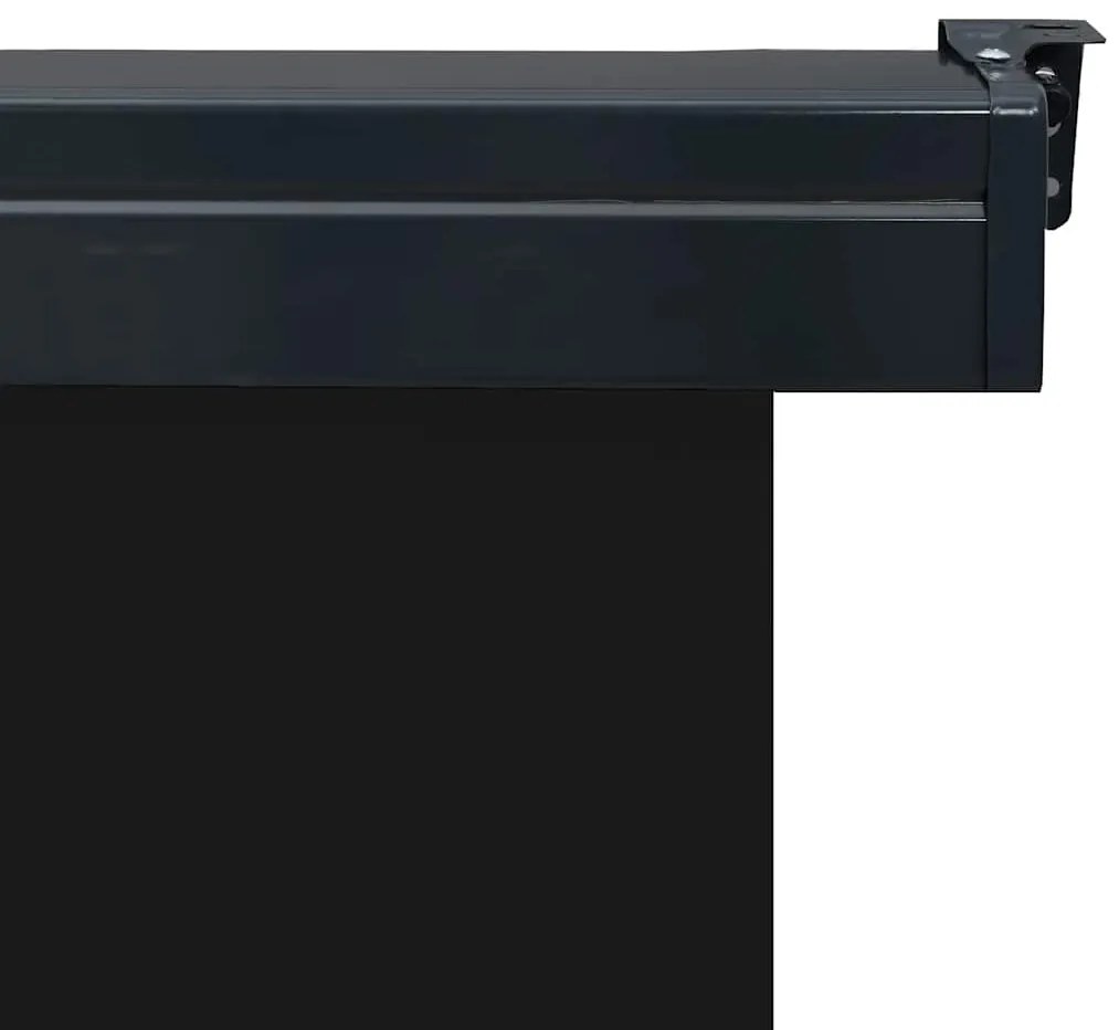Toldo lateral para varanda 165x250 cm preto