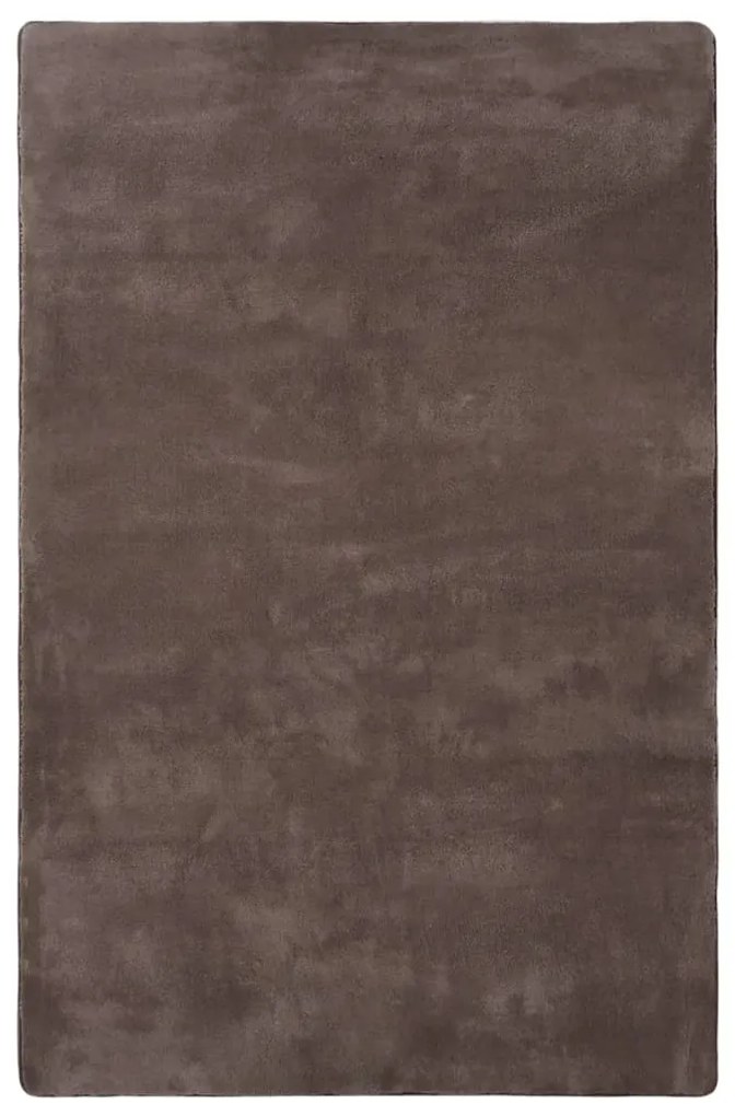 336481 vidaXL Tapete teddy 230x160 cm cinzento-acastanhado