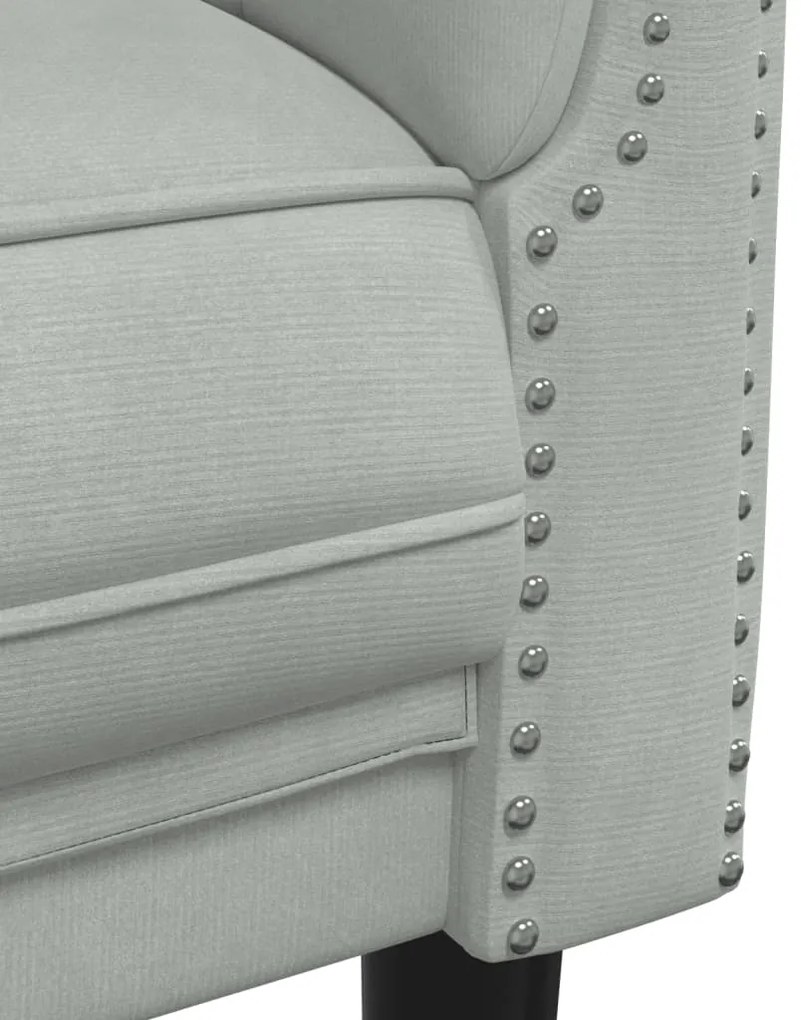 2 pcs conjunto de sofás veludo cinzento-claro