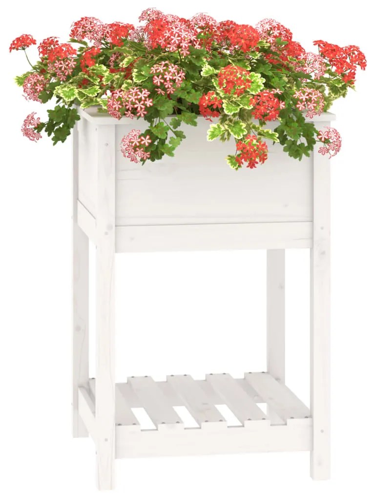 Vaso/floreira com prateleira 54x54x81 cm pinho maciço branco
