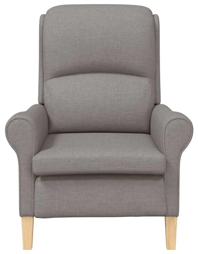 Poltrona Moderna Cinzento-acastanhado