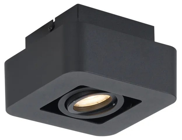 Foco de superfície arredondado preto rotativo e inclinável - Dox