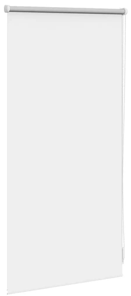 Estore de rolo 40 x 100 cm, Branco escuro