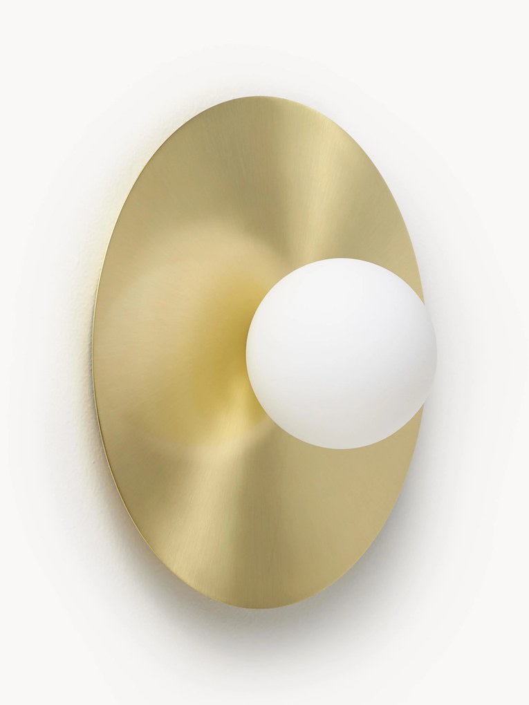 Wall and Ceiling Spotlight Starling
