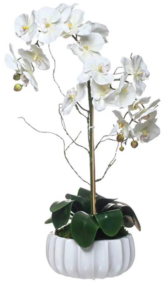 Vaso Orquídea 2 caules JOM 46007