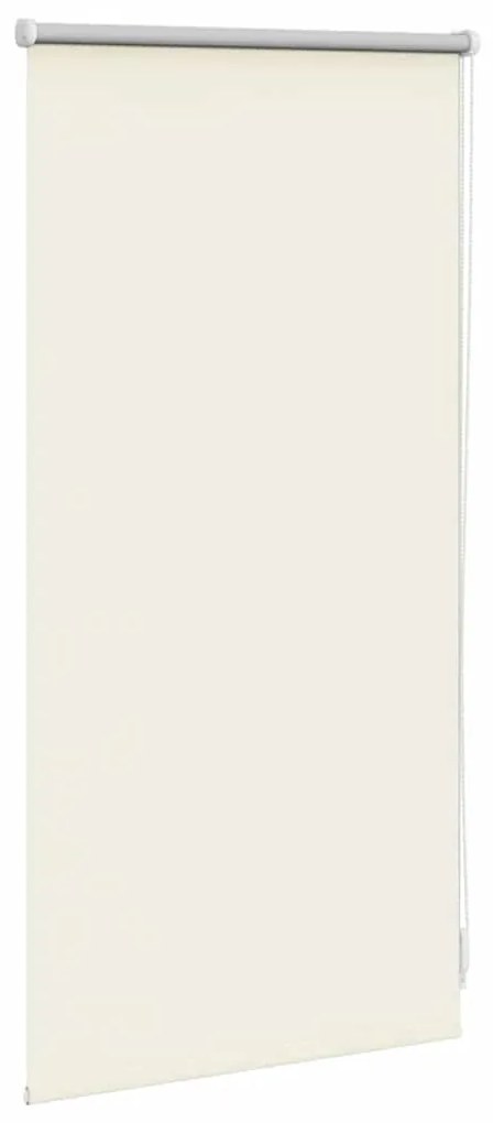 Estore de rolo 40 x 100 cm, Bege