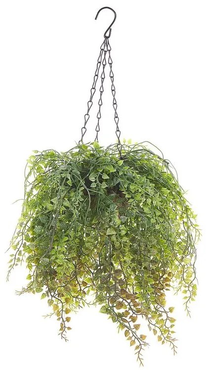 Planta artificial suspensa 48 cm BOXUS Beliani