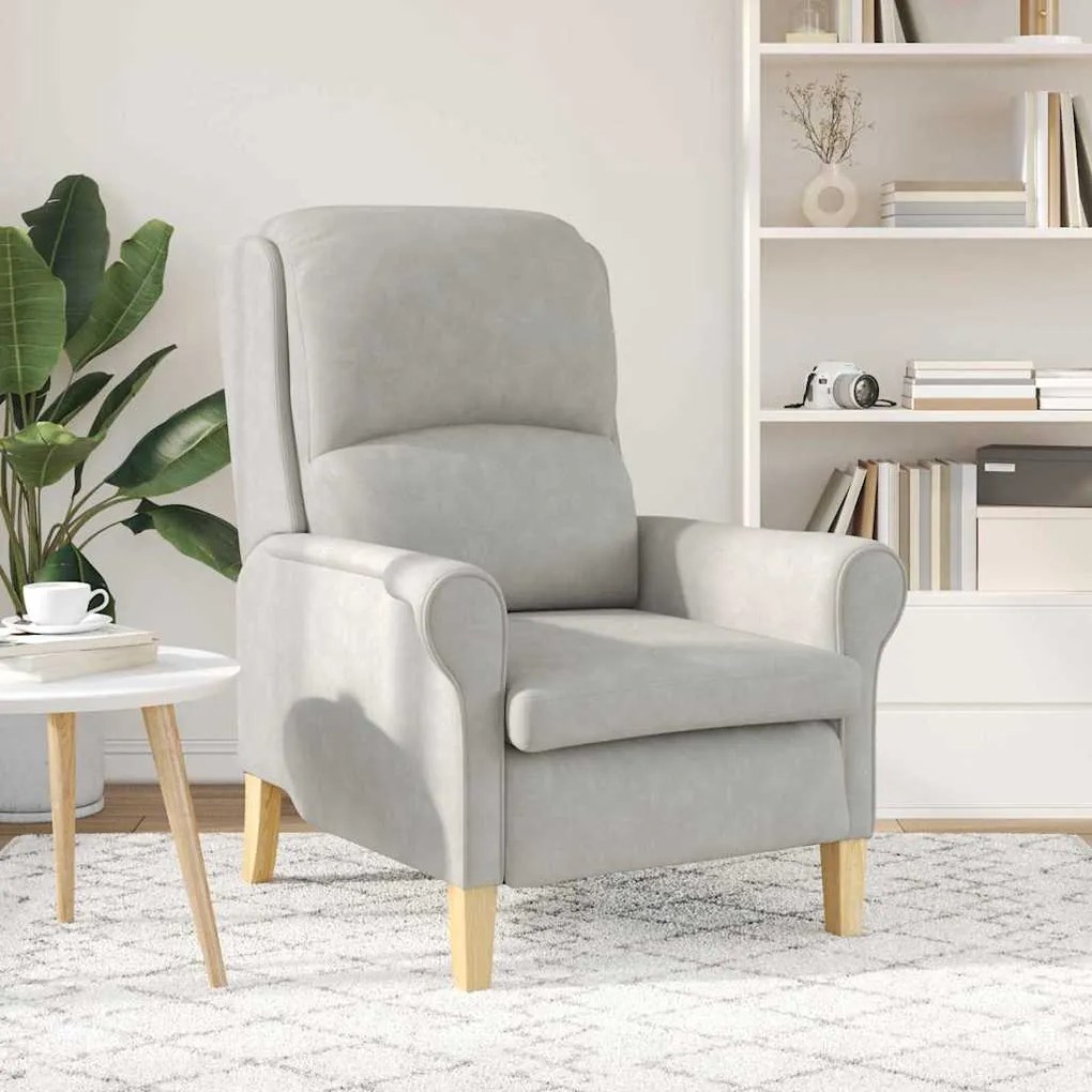 Poltrona Cinza Claro Cinzento-claro Standard